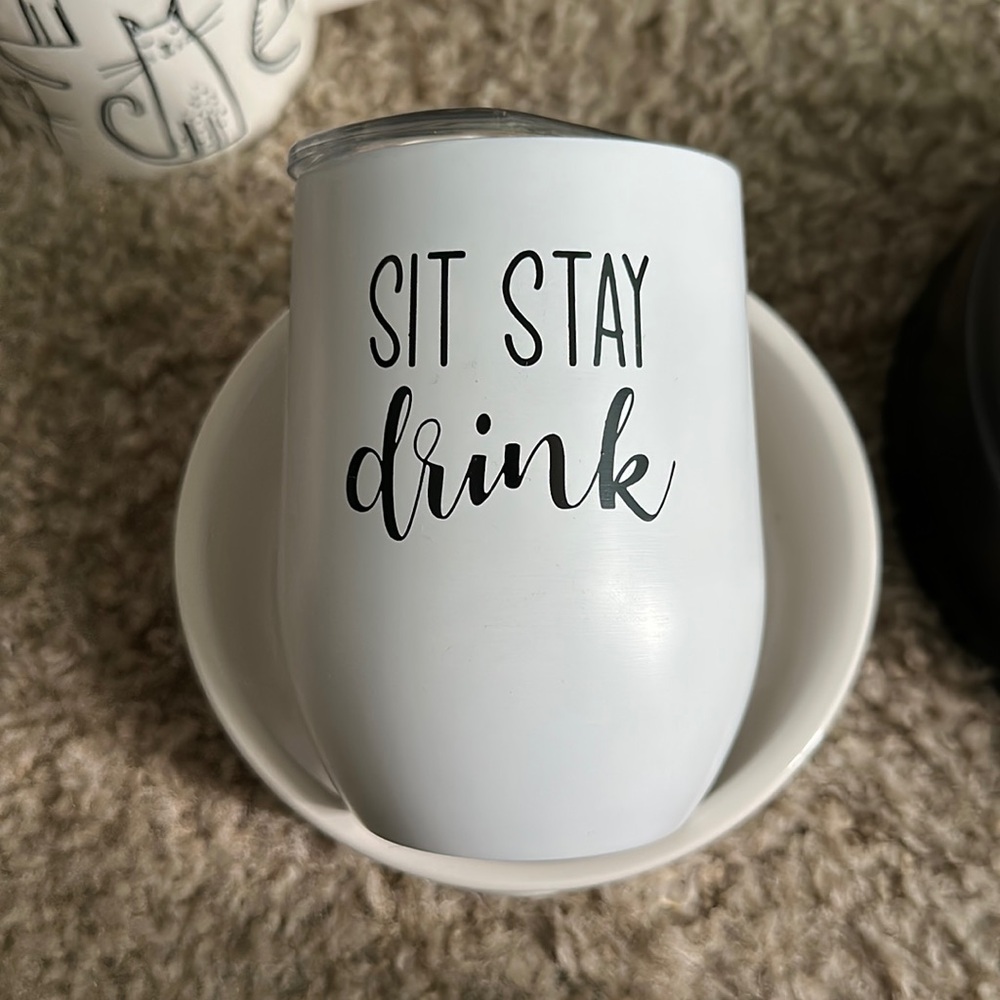 Metal wine glass with hard plastic cover on it- SIT STAY DRINK 13 fluid ounce
